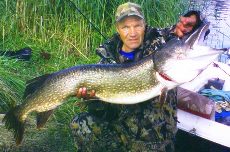 Рыбалка в Беларуси